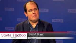 Teradata's Cesar Rojas on improving Data Lake productivity -- Strata + Hadoop 2015