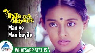 Maniye Manikuyile Whatsapp Status Song | Nadodi Thendral Movie Songs | Karthik | Ranjitha