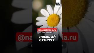 Помогай супруге. #насаатмедиа #rec #rek #film #шейх_чубак_ажы #live #чубакажы #ислам #насаат