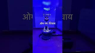 हर हर महादेव  mahadev ke darshan #mahadev #shivparvati #god #motivation #spirituality #kailash