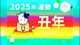 丑年（うしどし）の2025年の運勢｜全体運・恋愛運・仕事運・金運.