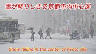 【京都の雪】雪が降りしきる京都市内中心部（2025年2月8日午前）　Snow falling in the center of Kyoto city