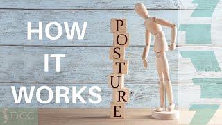 Our approach to Posture at Duffield Chiropractic Clinic - Derby Chiropractor