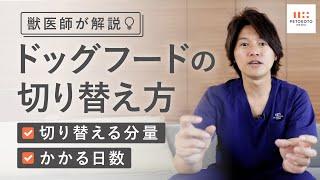 ドッグフードの正しい切り替え方を獣医師が解説！（犬の手作りごはん / フレッシュドッグフード / ペトコトフーズ）