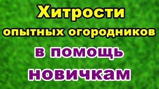 Хитрости опытных огородников | Советы начинающим огородникам