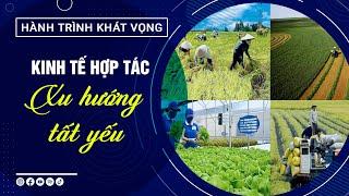 Kinh tế hợp tác - Xu hướng tất yếu | Hành trình khát vọng