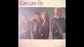 Cats Can Fly - Flippin' To The 'A' Side