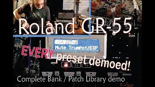 Roland GR-55 Guitar Synthesizer // EVERY preset demo (with Godin xtSA guitar)