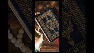 The Scientific Accuracy of the Holy Quran #quran #science #shorts