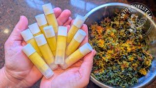 The Healing Power of Nature | Infused Oil to Balms