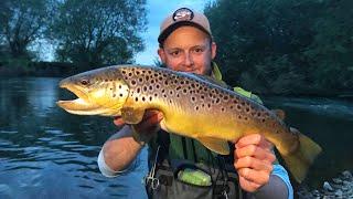 My NEW PB TROUT?! Giant UK River Dove Brown Dry Fly Fishing