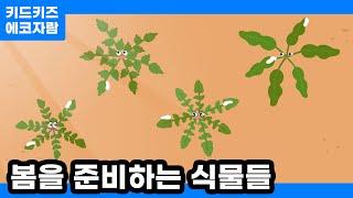 [에코자람] 봄을 준비하는 식물들ㅣ키드키즈ㅣ환경동화ㅣ환경교육ㅣ어린이동화ㅣ유아동화ㅣ봄동화