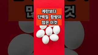 계란보다 단백질 함량이 높은 의외의 식품 4가지 #면역 #음식 #건강 #50대 #계란