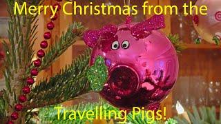 The Christmas Tree of the Travelling Pigs