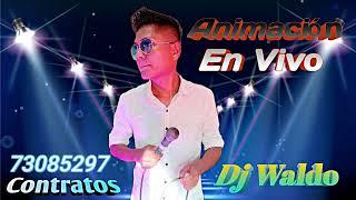 Cumbia Con Animación (Grabación Live De Tiktok) Dj Waldo