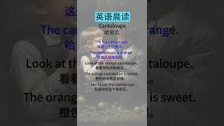 中级英语听力训练：提高你的听力水平    Cantaloupe 哈密瓜