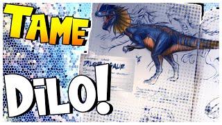 How To Tame A Dilophosaurus Ark: Survival Evolved - Beginners Guide - Dilo 101