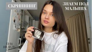 13-14 недель/ СКРИННИНГ. Знаем пол малыша