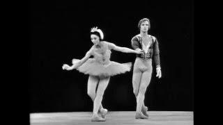 Swan Lake pas