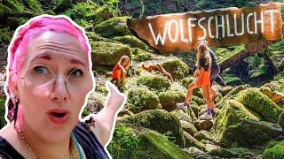 Abenteuer in der Wolfsschlucht: Wandern mit Hund und Kindern