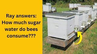 How Much Sugar Water Do Bee Hives Consume?