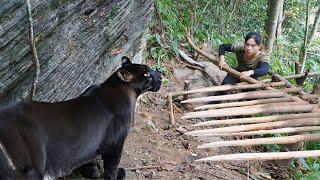 ferocious black panther, black panther trapping skills, winter survival, survival alone