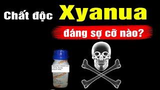 Xyanua độc cỡ nào? Giải thích dễ hiểu nhất