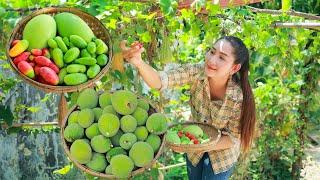 Ivy Fruit Sour Soup, Pick Young Santol and Eat, Gooseberry Juicy Pickle and Eat | Cooking with Sros