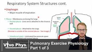 Pulmonary Exercise Physiology Part 1 of 3 - Breathing and Respiration