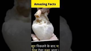 white heart  #factinhindi #fact #amazingfacts #shortsfeed #shorts #factiq #viral