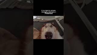 Сделаем как в Pinterest