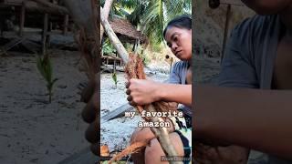 my favorite amazon