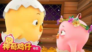 神奇鸡仔 16~18 | 30分 | 卡通動畫 | 好習慣卡通動畫 | Como Kids TV