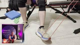 Tibialis Posterior | Strengthening Best Practices