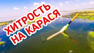 Рыбалка на КАРАСЯ! Бешеный КЛЁВ! Он просто ДУРЕЕТ от Рваного Красного!