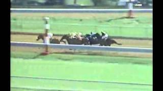 1988 Lexington Stakes - Risen Star -vs- Forty Niner