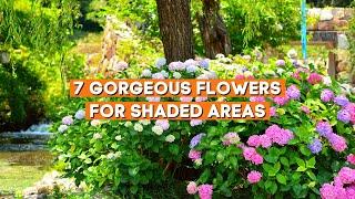 7 Gorgeous Flowers for Shaded Areas  // Shade Loving Summer Plants ️
