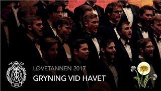 Gryning vid havet – Trondhjems Studentersangforening