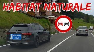 BAD DRIVERS OF ITALY dashcam compilation 2.27 - HABITAT NATURALE