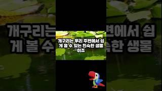 개구리가 알을 안 낳고, 올챙이를 직접 낳는다!