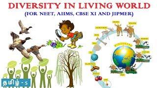 Diversity in the Living World in Tamil 5 (Taxonomical Aids) Rajus Biology