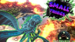 HACIENDO PVP EN RAGNAROK | ARK Small Tribes Ps4