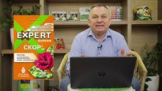 Препараты от болезней растений_Хорус и Скор_обзор от агронома-садовода Ивана Васильевича Бабина