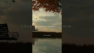 Не откладывай близких на потом... (читает Анна Магнели, стихи Оксаны Зет)