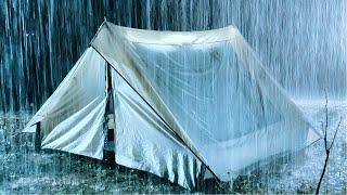 비오는 밤에 즉시 깊은 잠 | 텐트 및 큰 천둥 소리에 폭우 | 자연의 소리