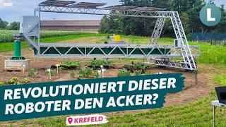 Landwirtschafts-Roboter: Zukunft für regionales Gemüse? | WDR Lokalzeit Land.Schafft.