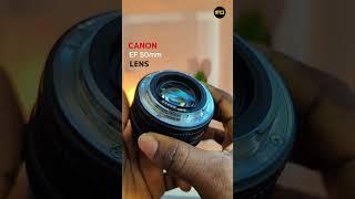 Canon EF 50mm LENS / What is the Best Canon Camera for this LENS?