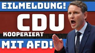  Offiziell bestätigt! Brandmauer der CDU gefallen – Koalition mit der AfD in Planung? 