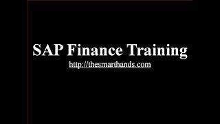 SAP Finance Training - Introduction to SAP Finance (Video 1)