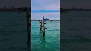 Venice city #venice #venicebeach #veniceflorida #italy #italian #viral #trend #trendingshorts